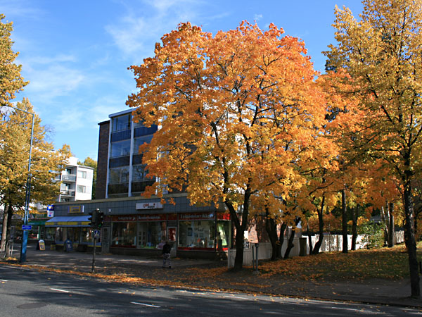 Uudenmaankatua